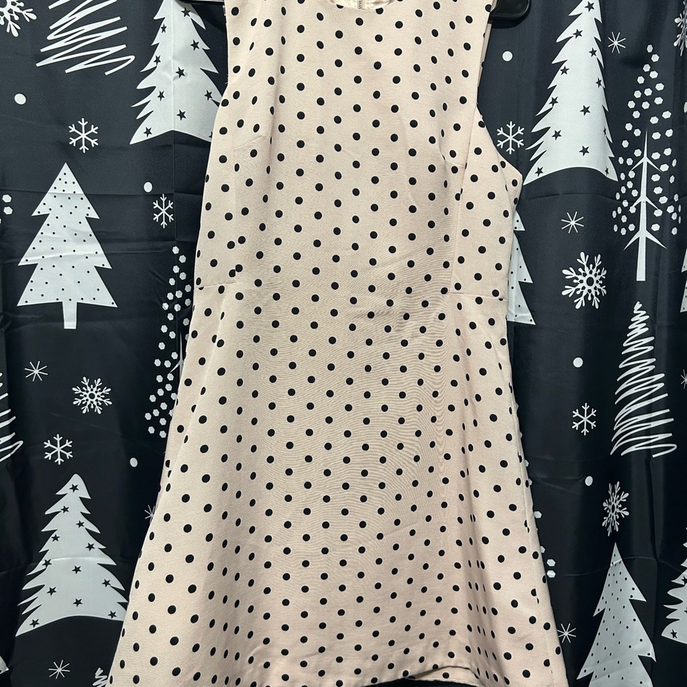 Express Pink and Black Polka Dot Dress
